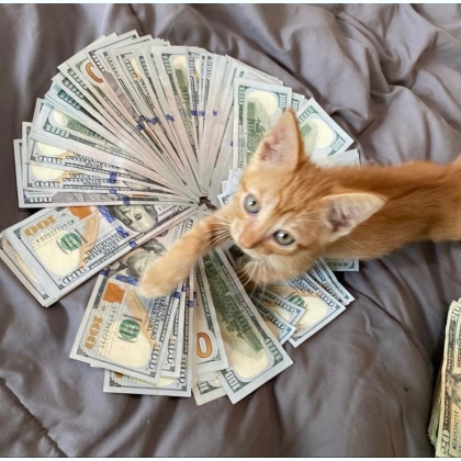      ,  