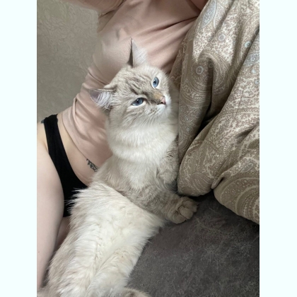 ��e �e����� ���� �p������ ����o��� 